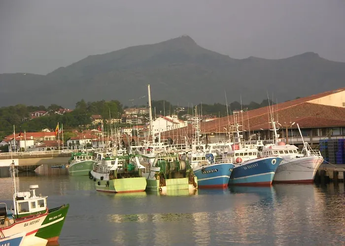 A Saint-jean-de-luz, Centre, A Pied, 3 Etoiles, 2 Pieces - Fr-1-792-30