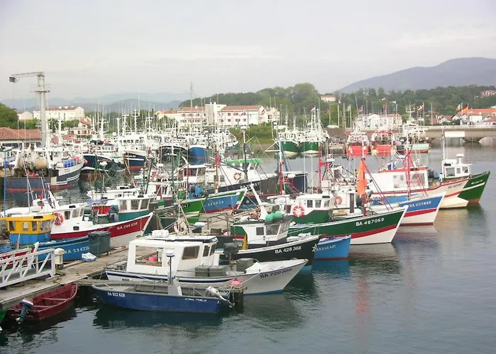 A Saint-jean-de-luz, Centre, A Pied, 3 Etoiles, 2 Pieces - Fr-1-792-30 Apartment Saint-Jean-de-Luz